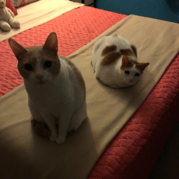 Meet Your Posher! - Picture 3 of 5